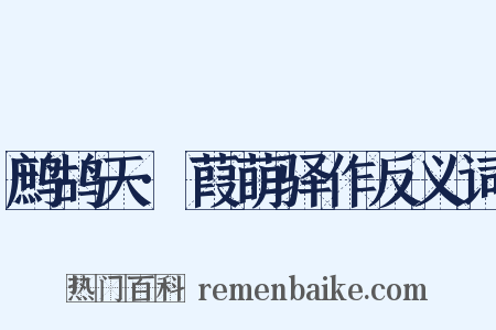 鹧鸪天·葭萌驿作反义词是什么意思的图片